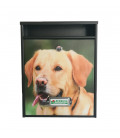 Buzon Personalizado