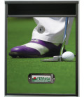 Buzon Gate Golf 2