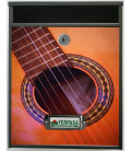 Buzon Gate Guitarra