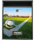 Buzon Gate Futbol 2