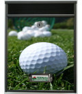 Buzon Gate Golf 3