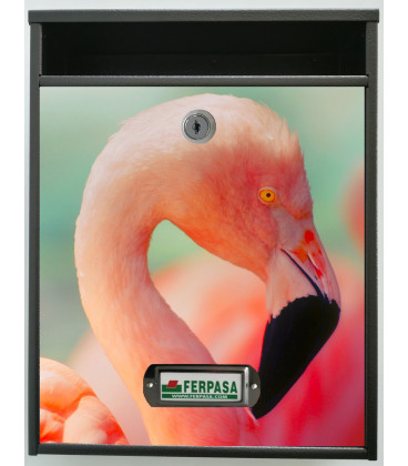 Buzon Personalizado