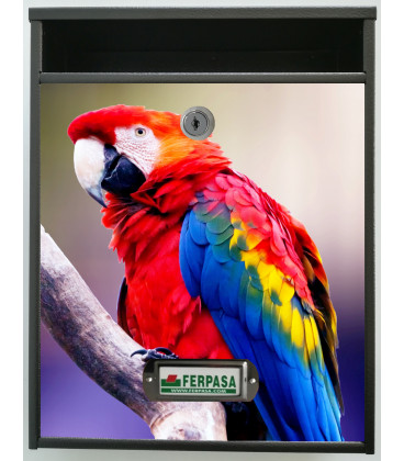Buzon Personalizado