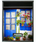 Buzon Gate Flores patio 2