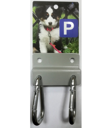 DOG PARKING COLLIE