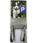 DOG PARKING COLLIE