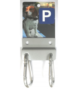 DOG PARKING COLLIE